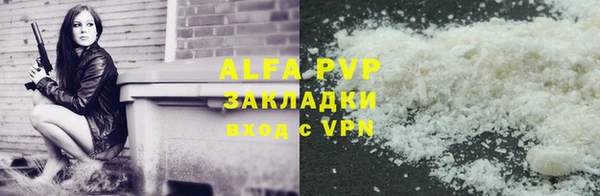 прущие грибы Белоозёрский