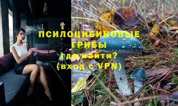 прущие грибы Белоозёрский