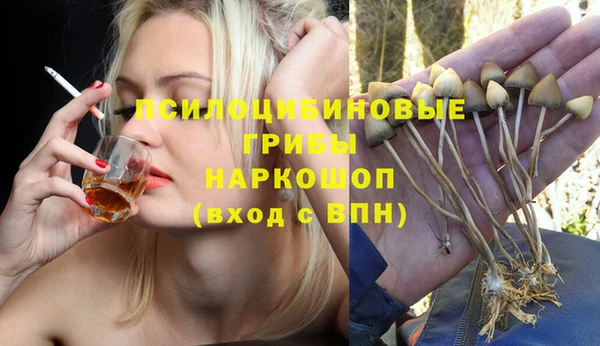 прущие грибы Белоозёрский