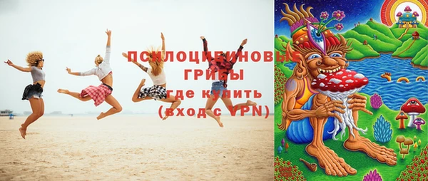мдпв Богородицк