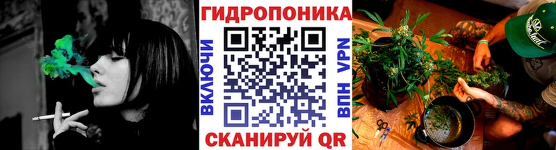 Шишки марихуана марихуана  нарко площадка формула  Вязьма 